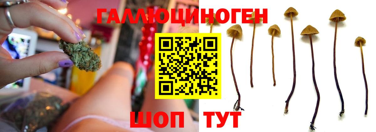 Галлюциногенные грибы Psilocybine cubensis  Псилоцибиновые грибы Magic Shrooms  Вход с VPN  Донецк 